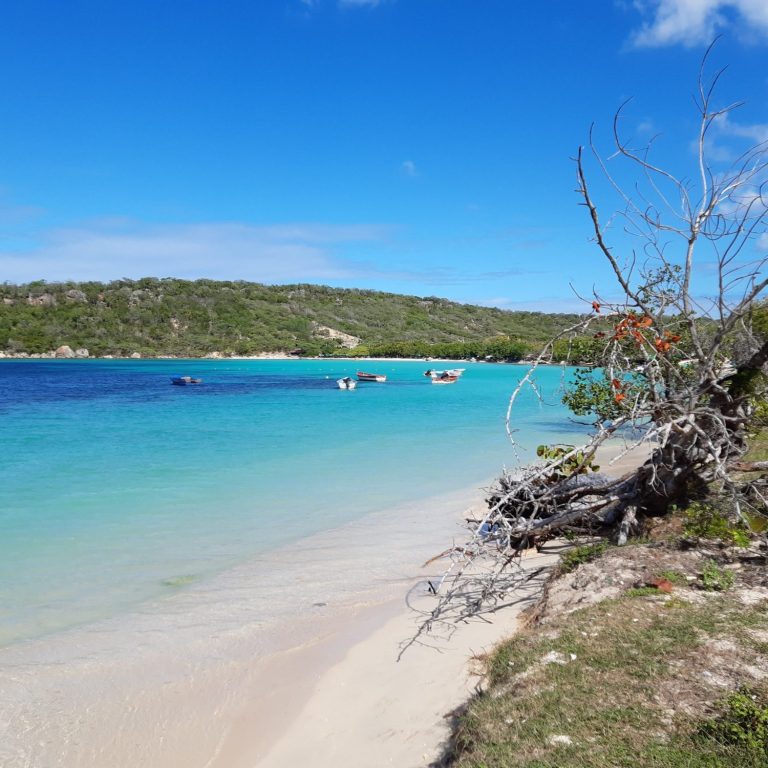 Ein klarer Strand mit türkisfarbenem Wasser und einigen Booten in der Ferne.