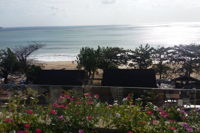 Blick auf einen Strand mit sanften Wellen und Bäumen im Vordergrund.