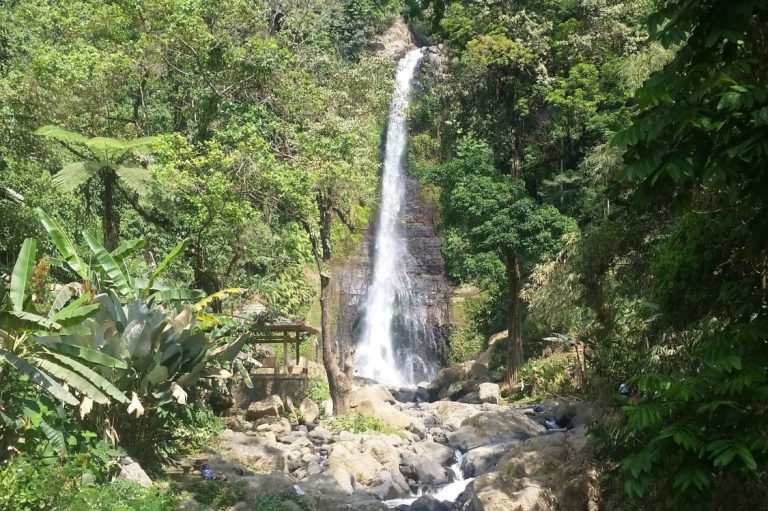 Schöne Wasserfall umgeben von üppigem Grün und Bäumen.